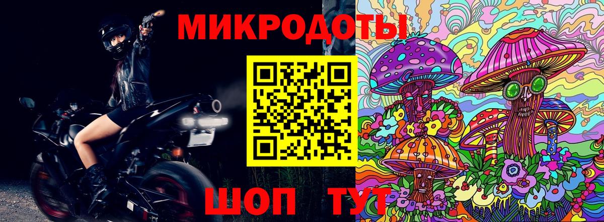 Галлюциногенные грибы MAGIC MUSHROOMS  Псилоцибиновые грибы Psilocybine cubensis  Вход с VPN  где можно купить   Нальчик 