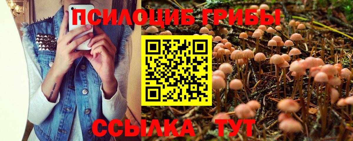 Галлюциногенные грибы ЛСД Нальчик